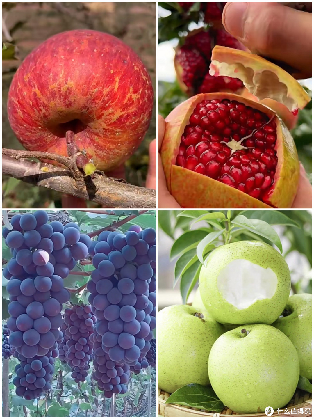 秋季水果你吃对了吗？