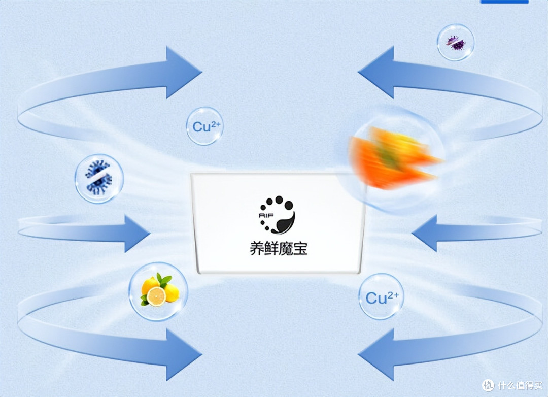 大容量存储，满足各种需求，这台冰箱是我食材新鲜无忧的秘密