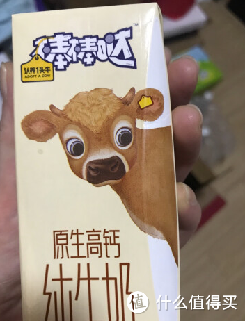 高钙牛奶种草！中老年人补钙也可能喝牛奶？