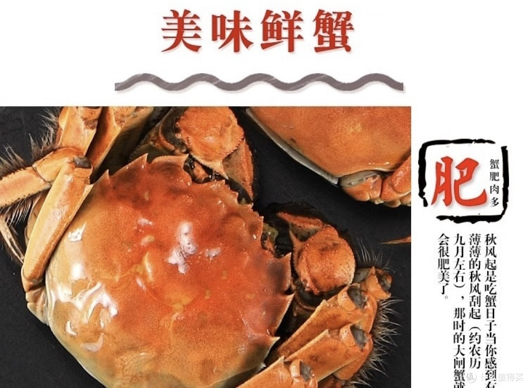 大闸蟹礼盒特辑:10 只全母螃蟹，新鲜阳澄湖镇鲜活大闸蟹上市啦!