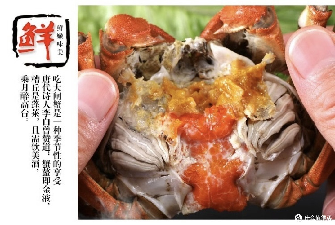 大闸蟹礼盒特辑:10 只全母螃蟹，新鲜阳澄湖镇鲜活大闸蟹上市啦!