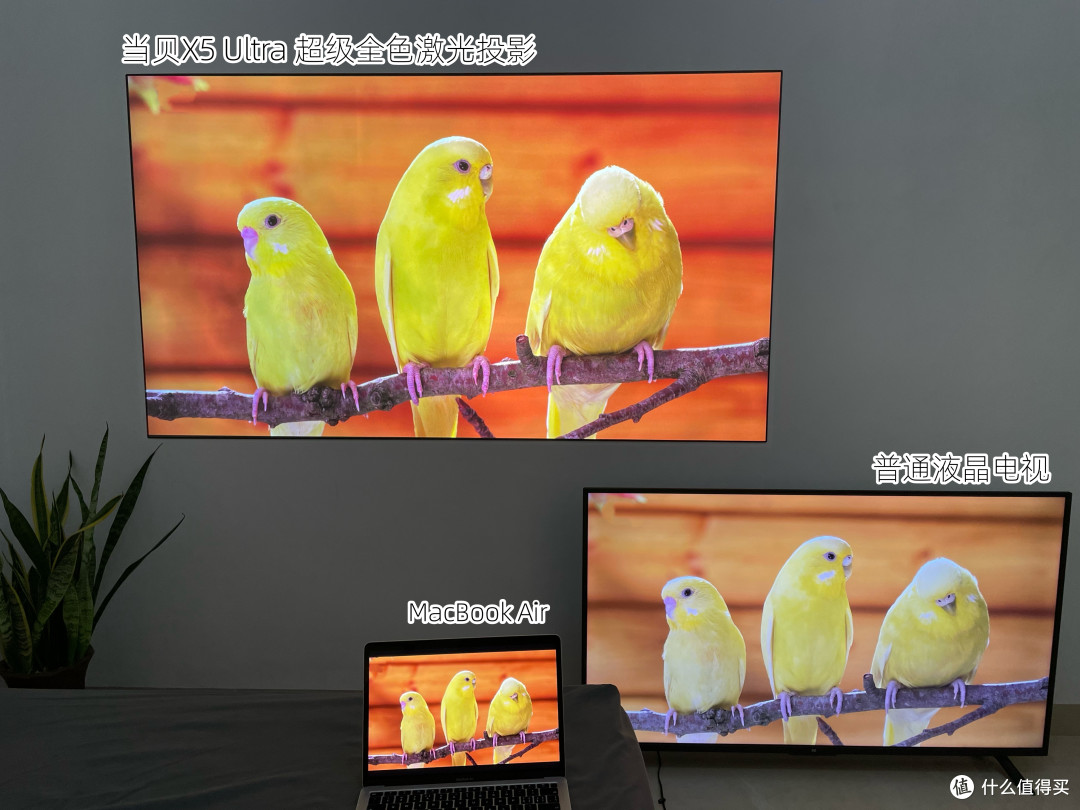 投影博主首发测评！当贝X5 Ultra超级全色激光点评，家用4K投影当贝ALPD5.0与三色激光对比谁更好？