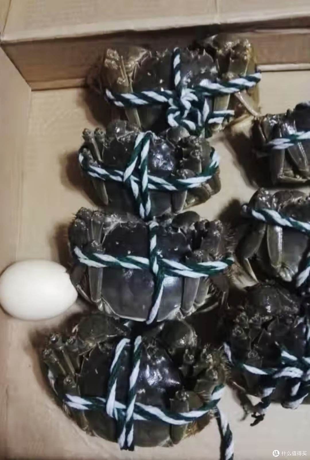咱山东老乡应该支持一下黄河口大闸蟹!