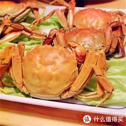 又到了吃蟹的季节，带你认识各地的螃蟹