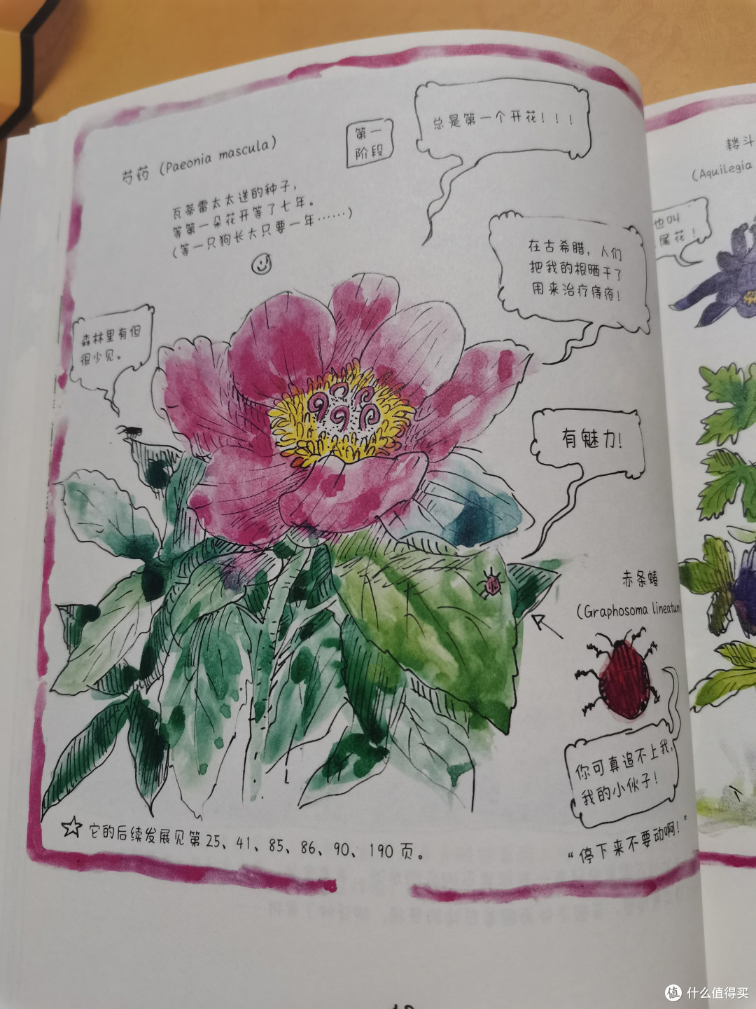 不是因为美好才去发现,而是因为发现才会变得美好!四季流转中的小美好-《小花园 365 日》