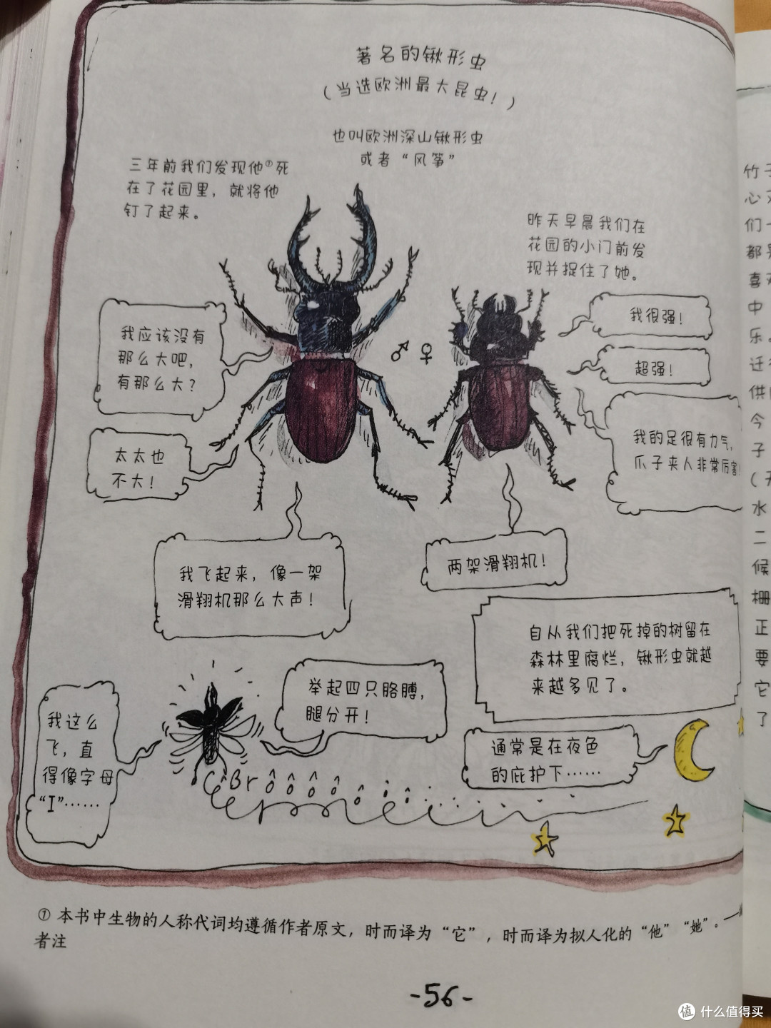 不是因为美好才去发现,而是因为发现才会变得美好!四季流转中的小美好-《小花园 365 日》