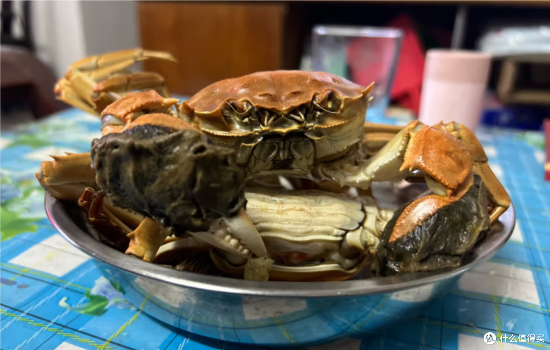 大闸蟹虽然贵了点，但是平日里我还是比较喜欢吃的