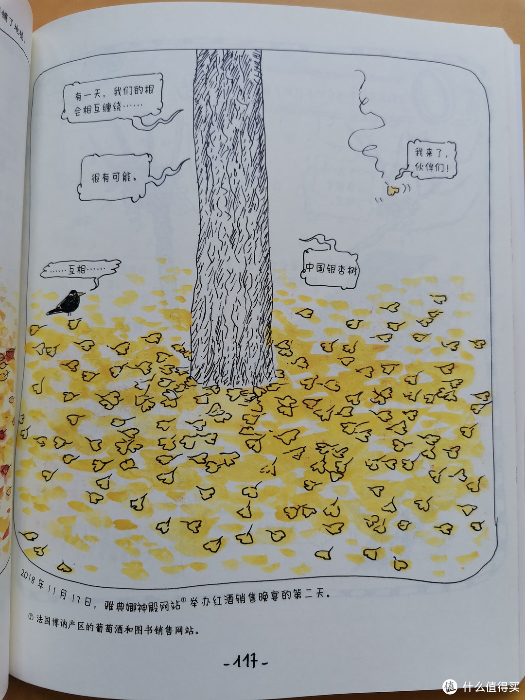 不是因为美好才去发现,而是因为发现才会变得美好!四季流转中的小美好-《小花园 365 日》