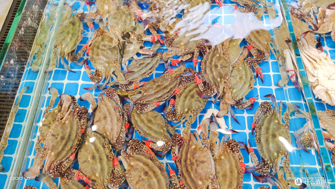 饕餮盛宴——海鲜大排档
