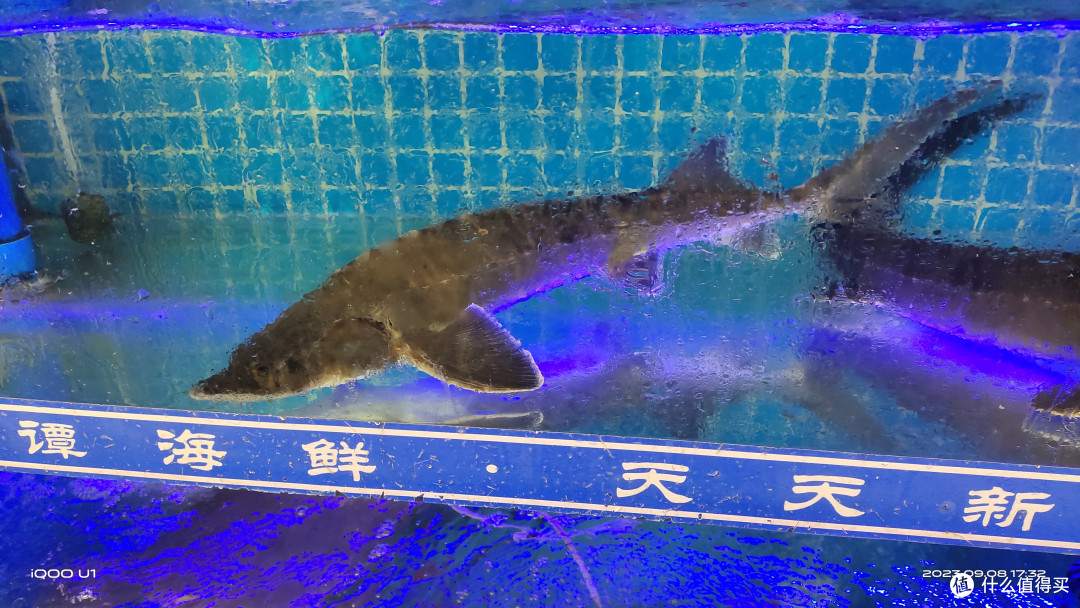 饕餮盛宴——海鲜大排档