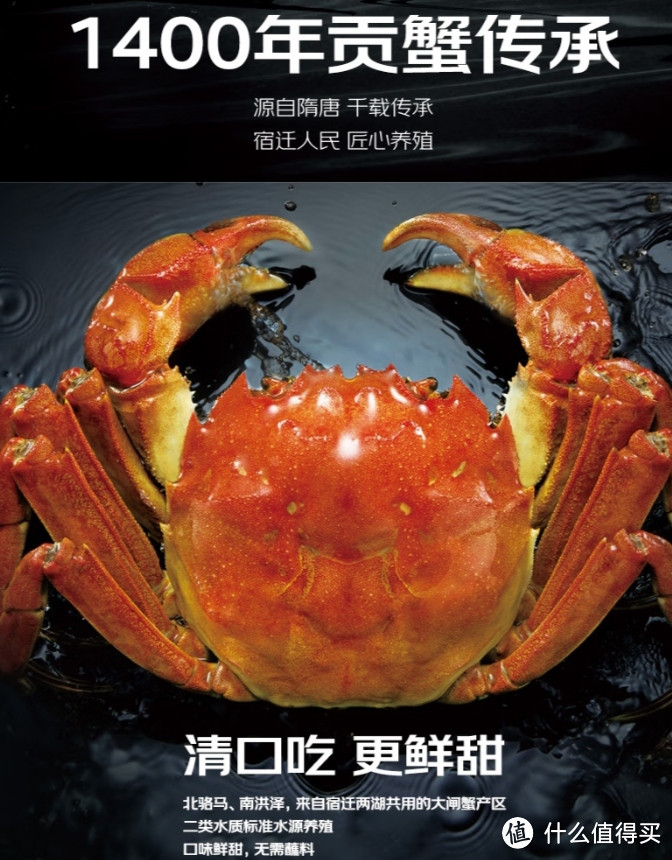 螃蟹上市啦!快来品尝这道金秋美食!