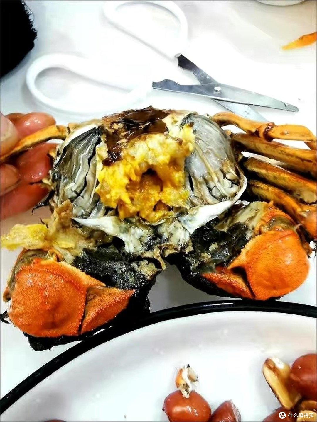 尝尽大闸蟹,人间美食不过如此!"--品味大闸蟹,感受极致鲜美!