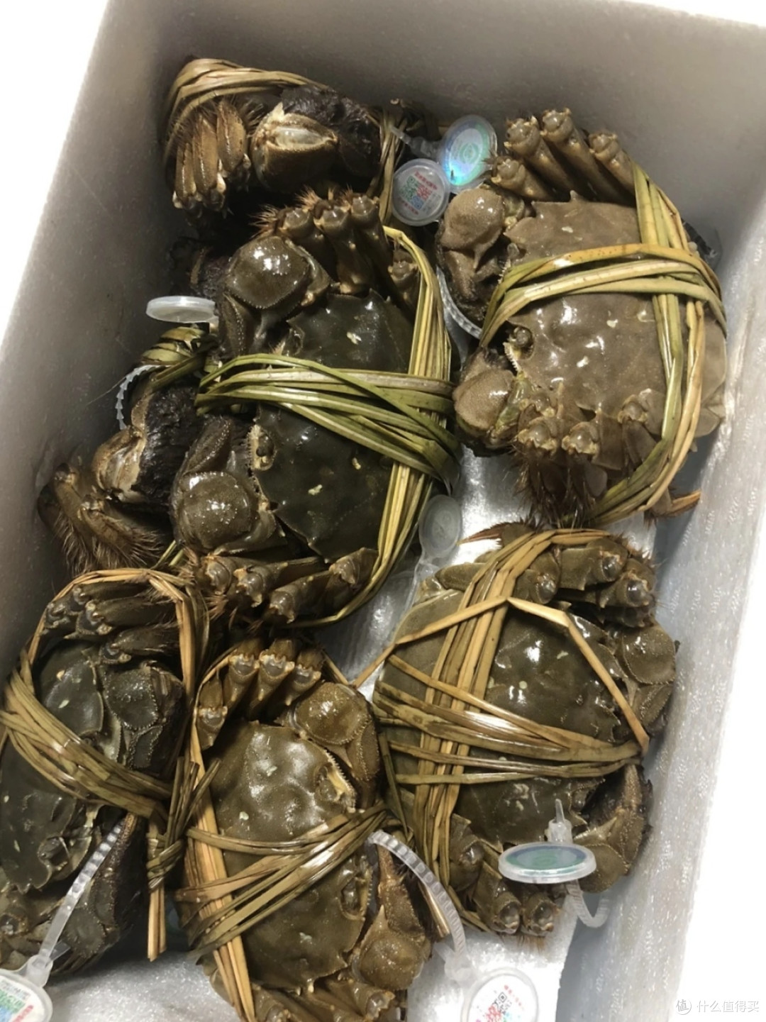 苏状元阳澄湖大闸蟹,真不错