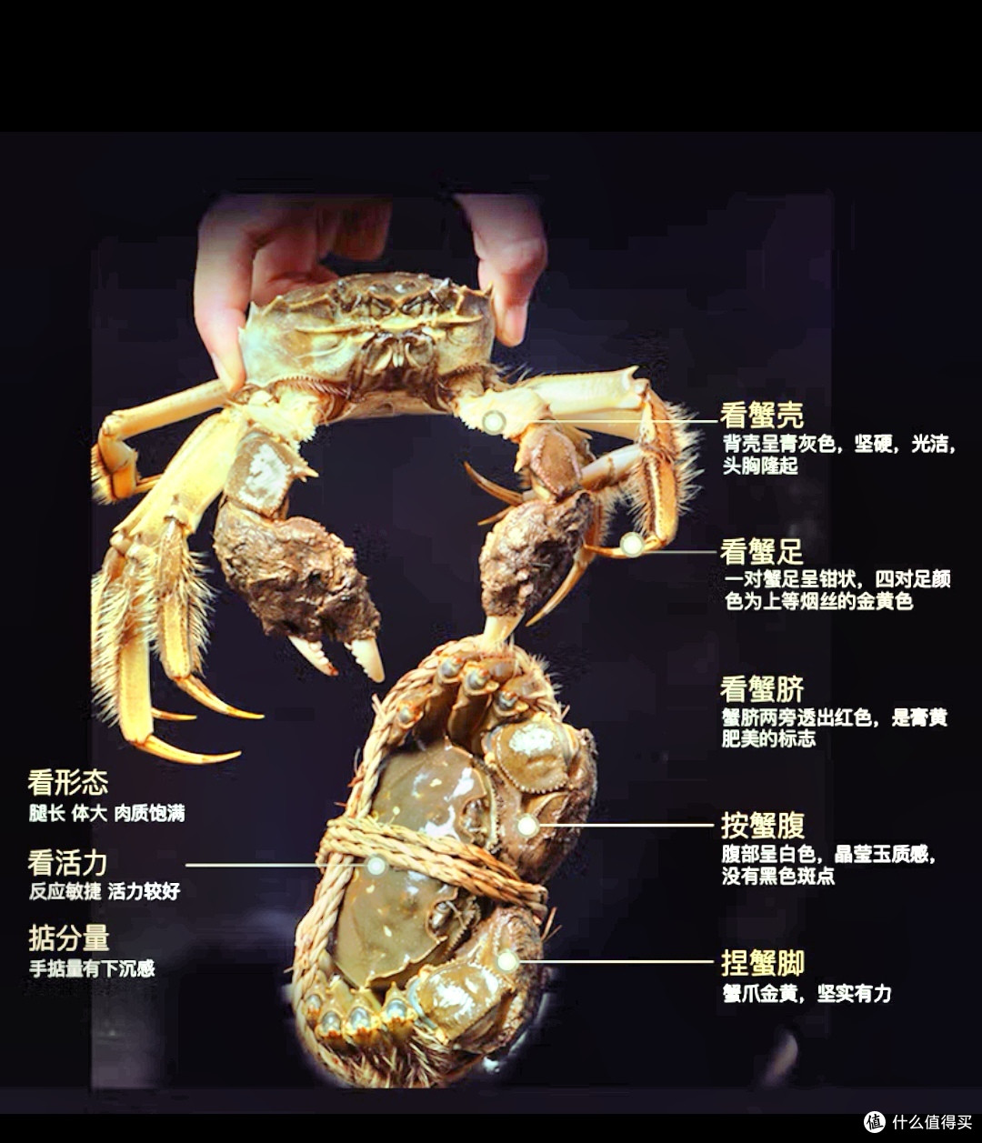 一只大闸蟹的华丽转身:从食材到艺术品