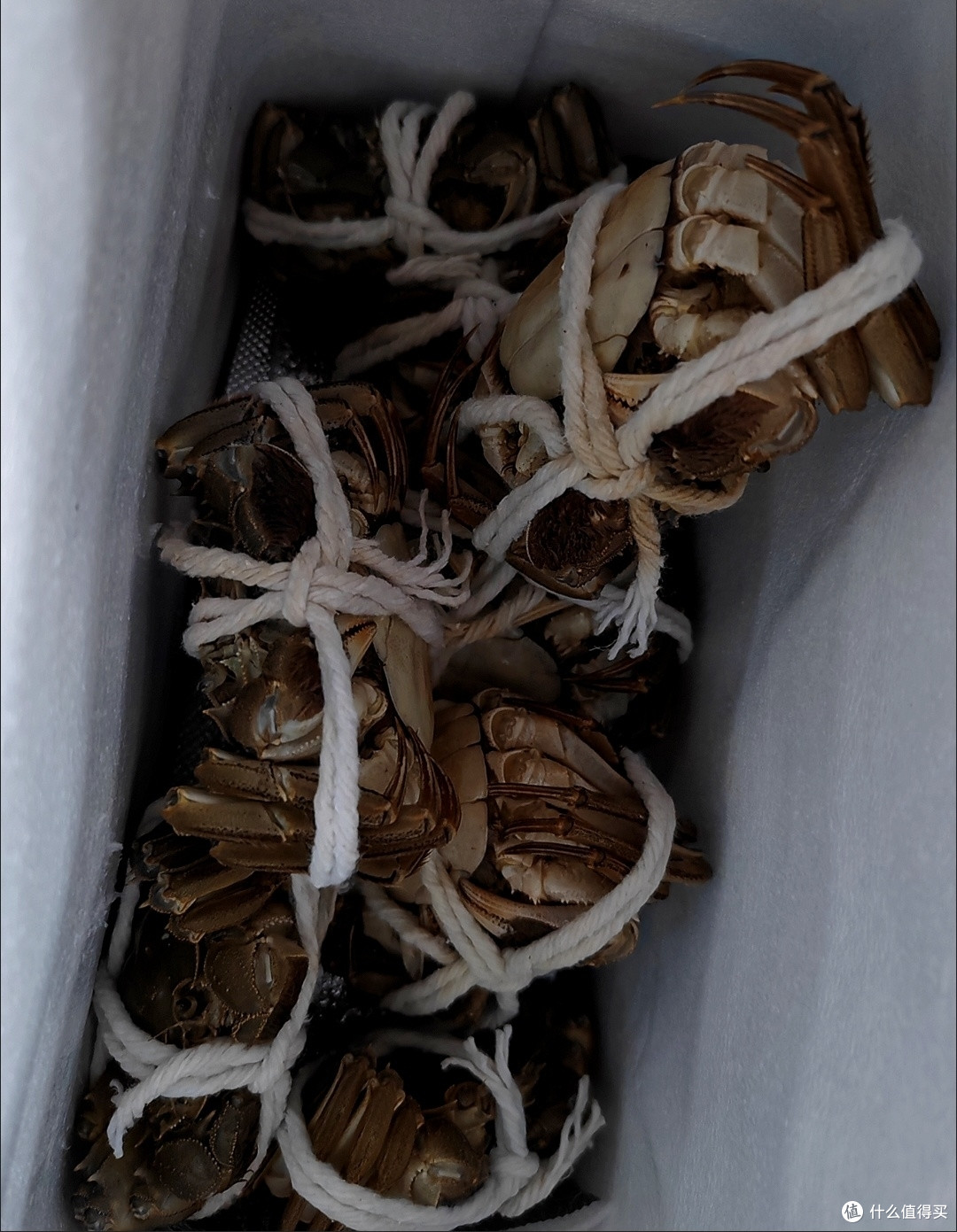 莫负金秋好时光,大螃蟹吃起来!