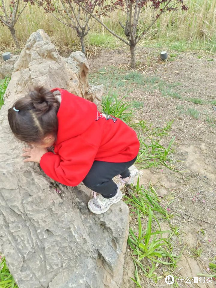 小小攀岩家：低龄儿童挑战极限