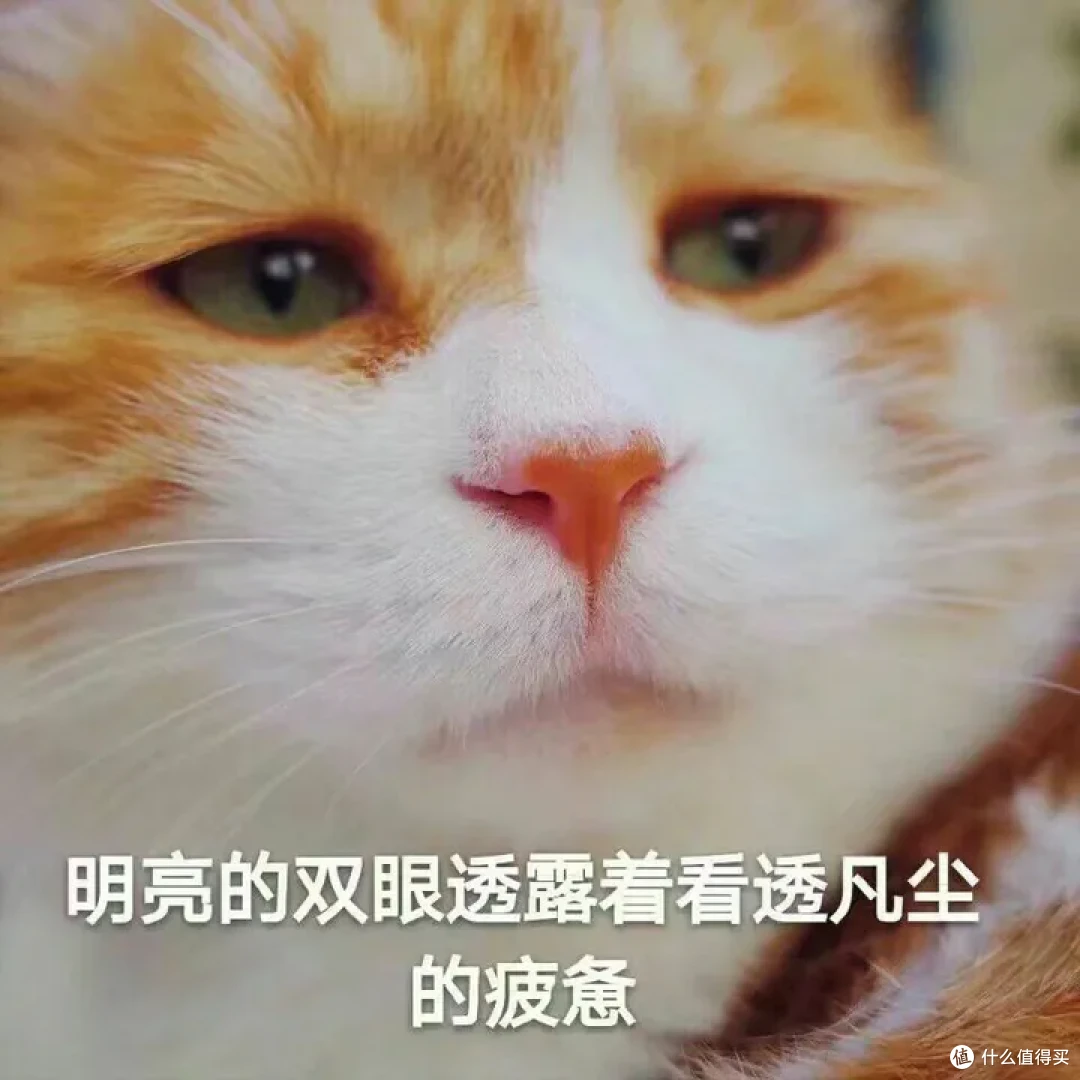 你去电影院看到最烂的电影是什么?