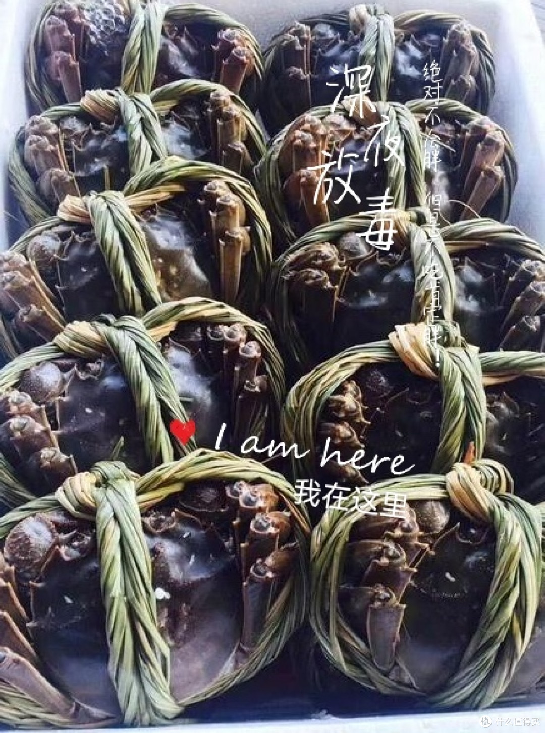闺女第一次吃大闸蟹,美味佳肴吃了还想吃的感觉,最爱大闸蟹了!