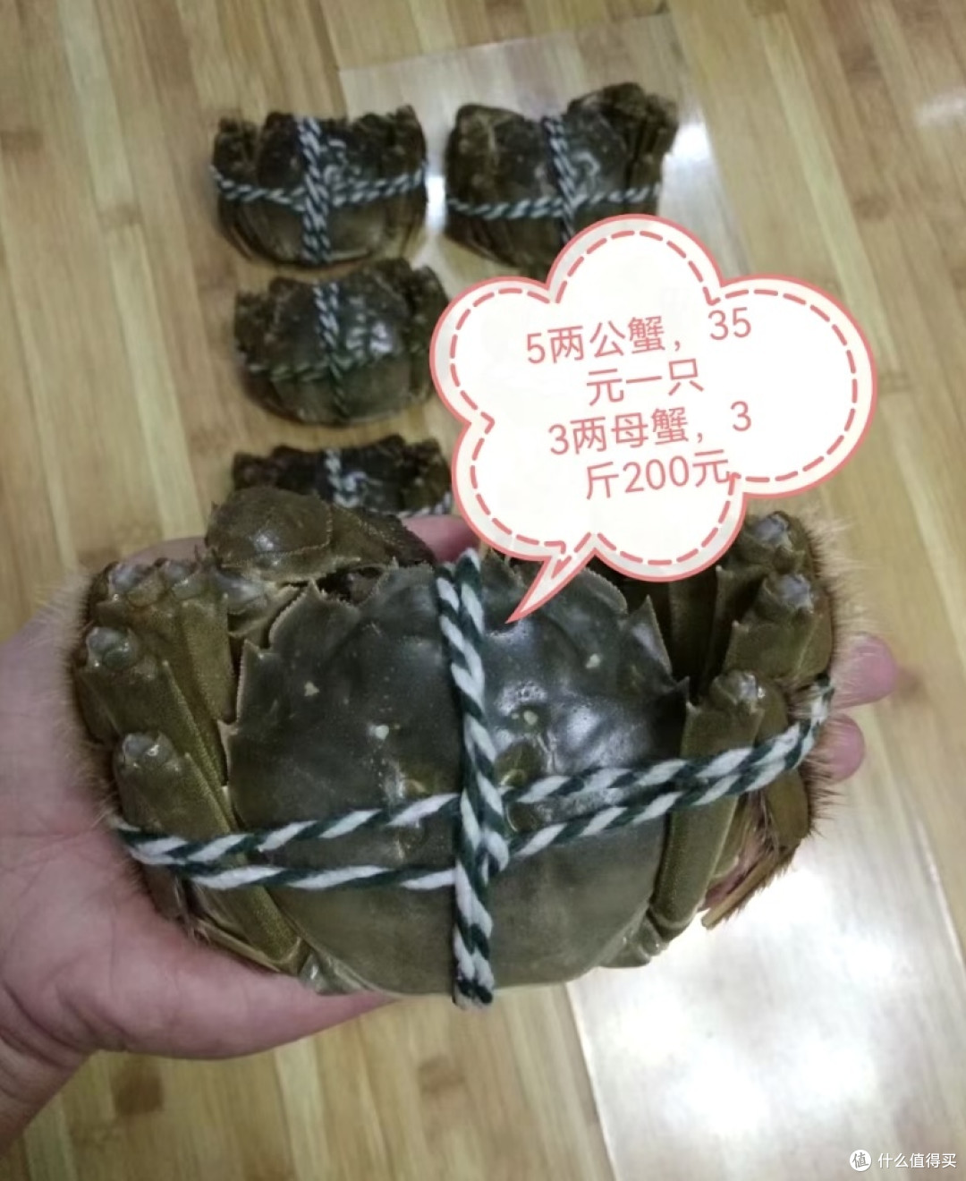 盘点大闸蟹你不知道的那些事!