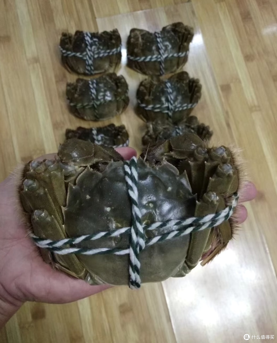 盘点大闸蟹你不知道的那些事!