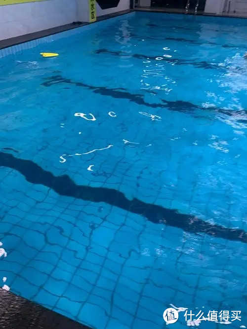 运动之游泳中的自由泳和仰泳