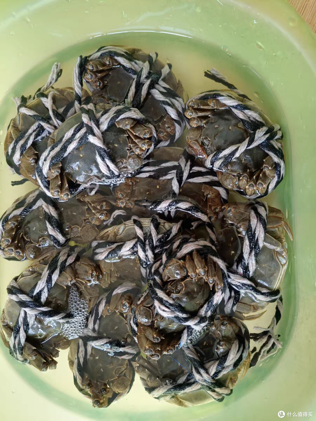 这个中秋一定要吃一次大闸蟹!
