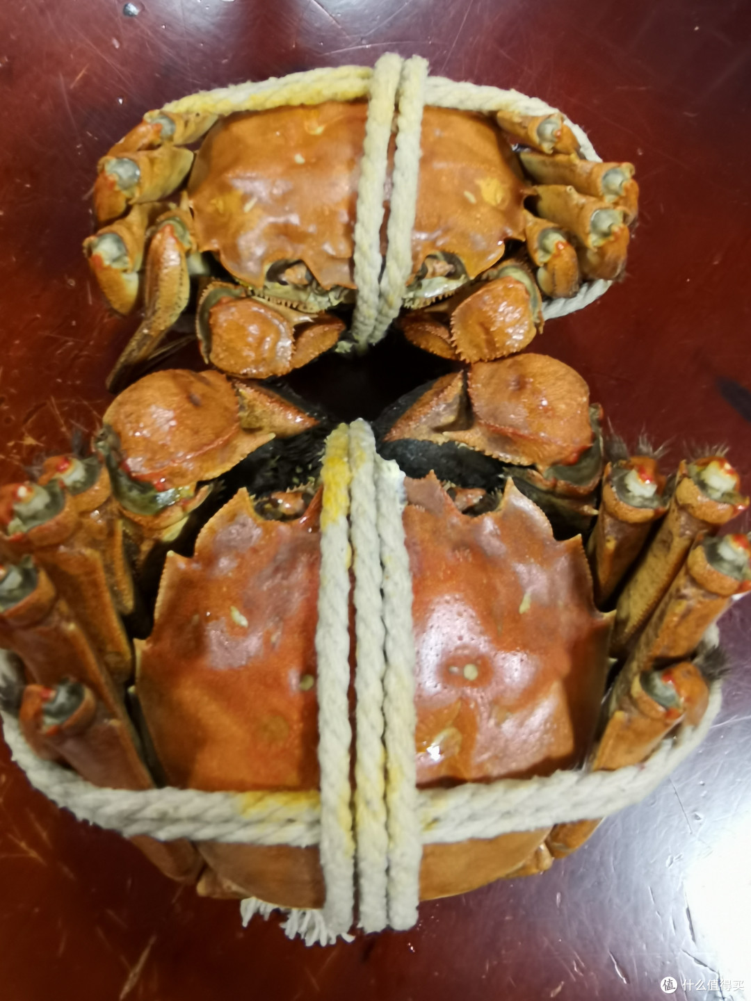 不吃大闸蟹，如何迎接秋天？快来品尝这道美味的海鲜吧！