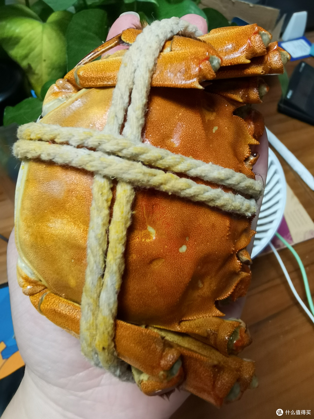不吃大闸蟹，如何迎接秋天？快来品尝这道美味的海鲜吧！
