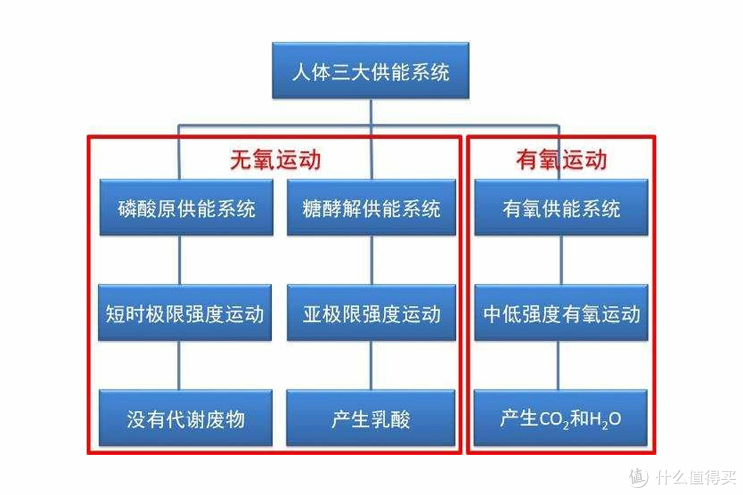 奔四中年人半年轻松减重30kg丨训练计划制定与实战技巧分享