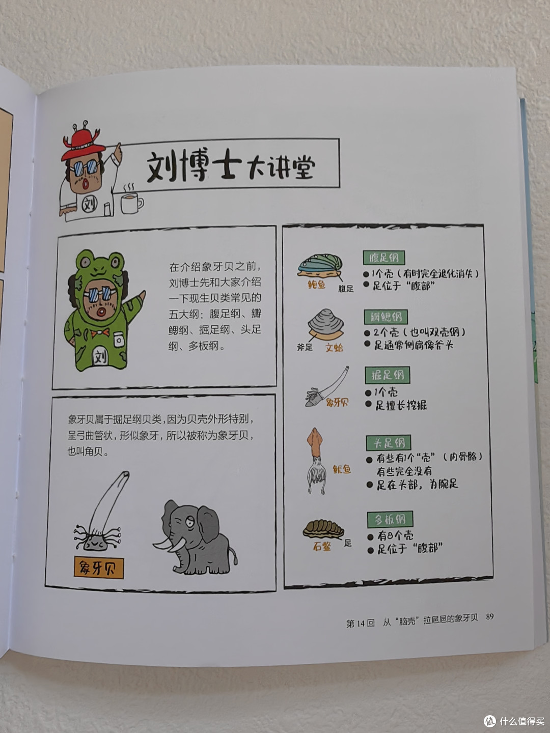 有趣又有梗的科普漫画，跟着厦大环境科学刘博士去赶海！