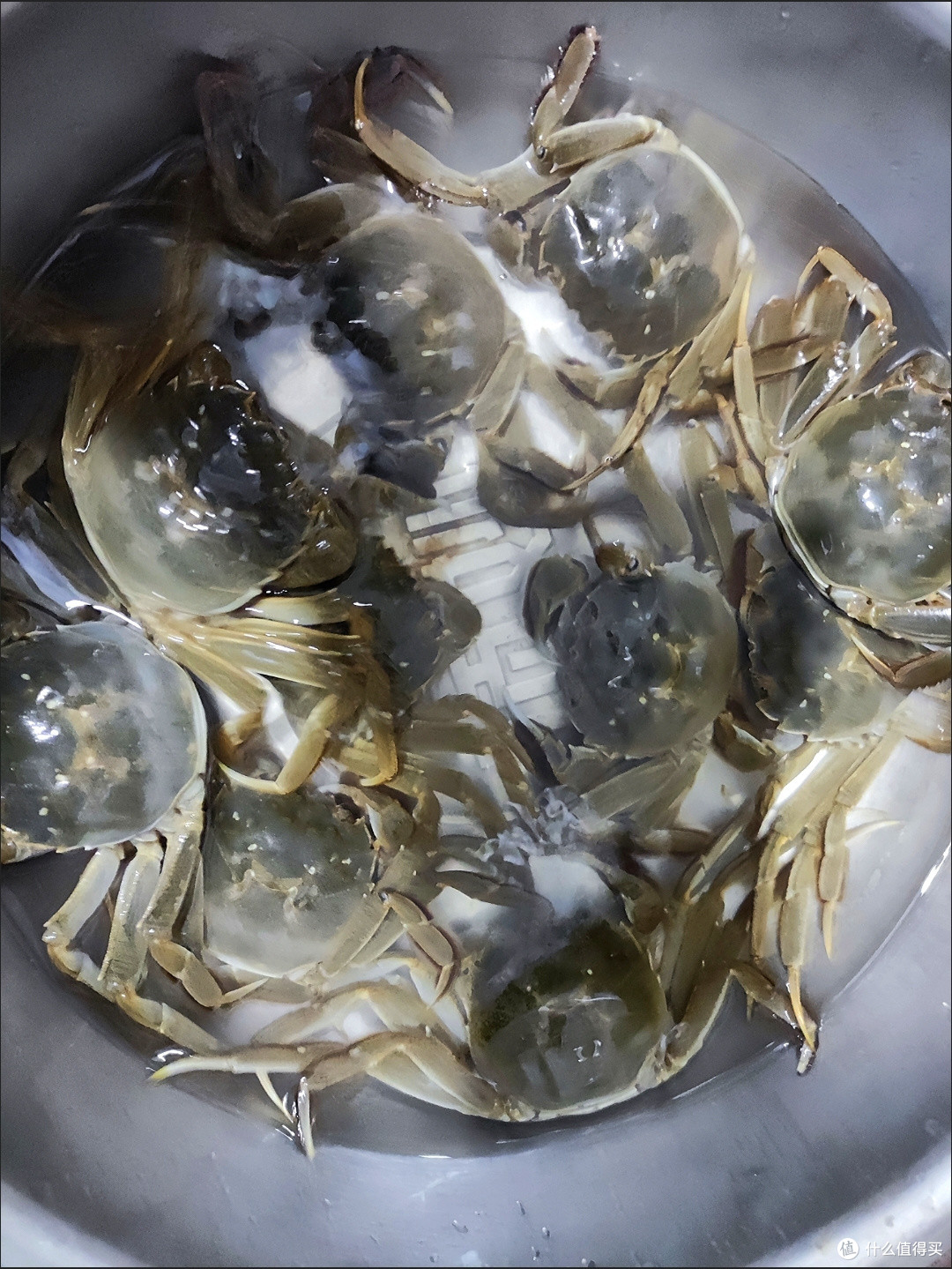 中秋送礼就送大闸蟹!