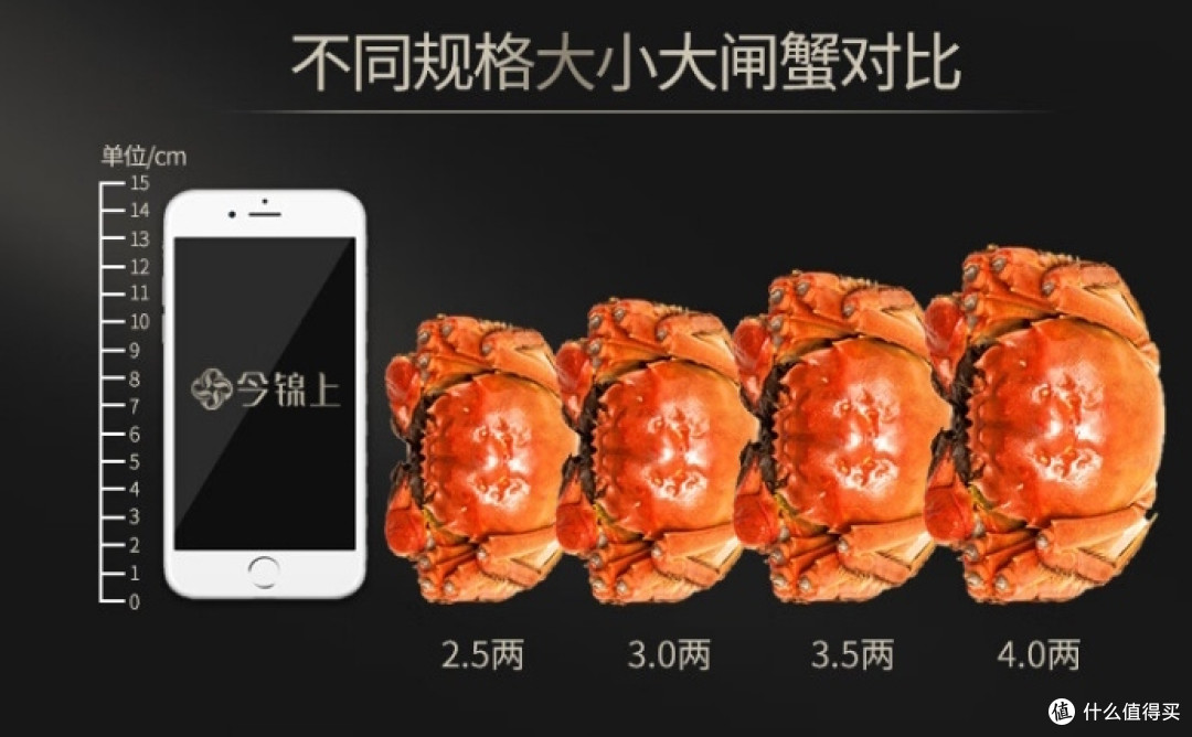 中秋节团圆饭怎么能少的了大闸蟹