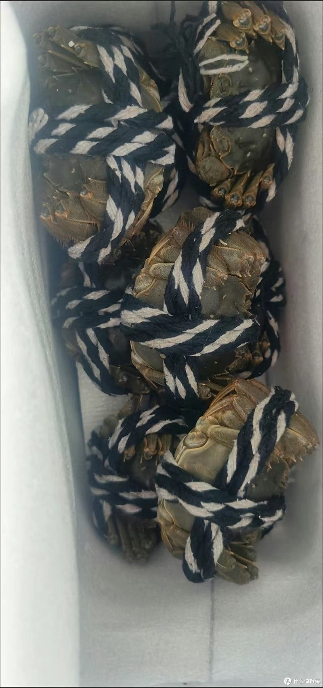大闸蟹的季节必须做一顿香辣蟹