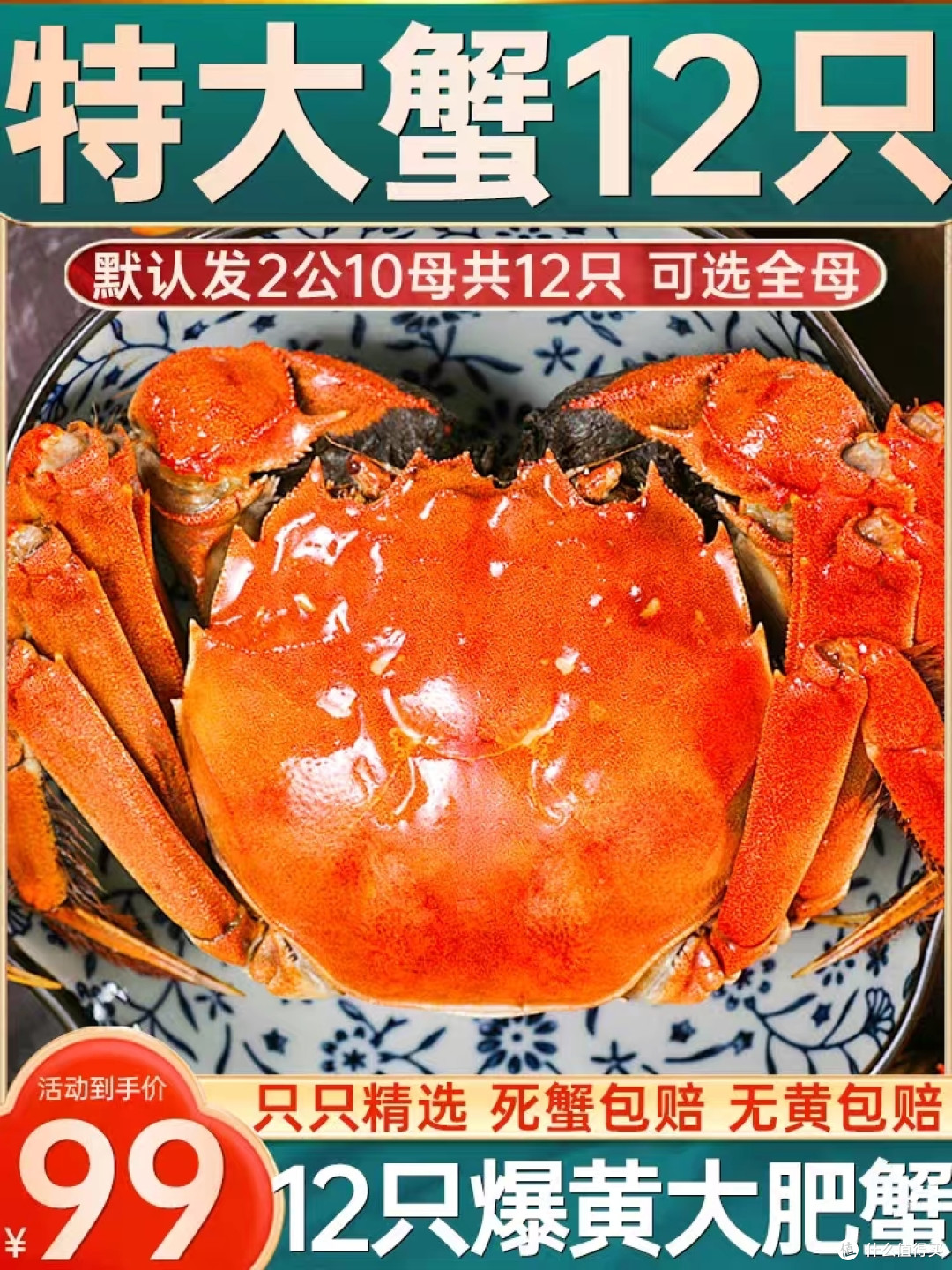 我是绝对无法忍受的饕餮之物！大闸蟹