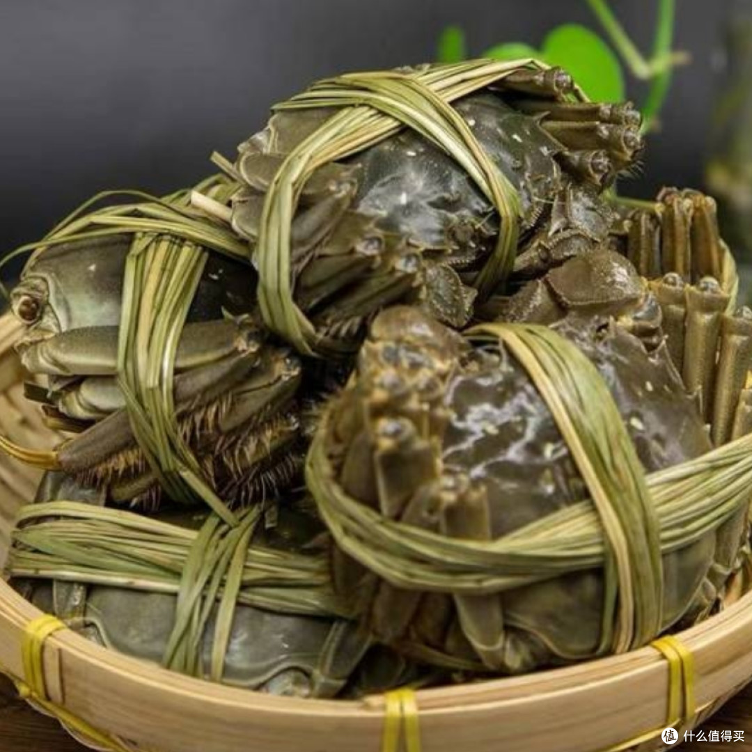 大闸蟹盛宴：品蟹心得与独特见解