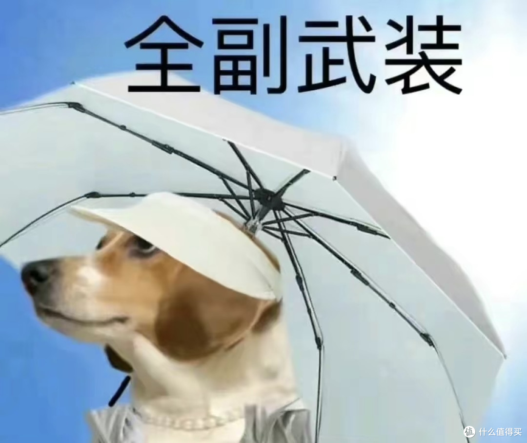 哪些防晒霜肤感润润的,适合在干燥的秋天使用?