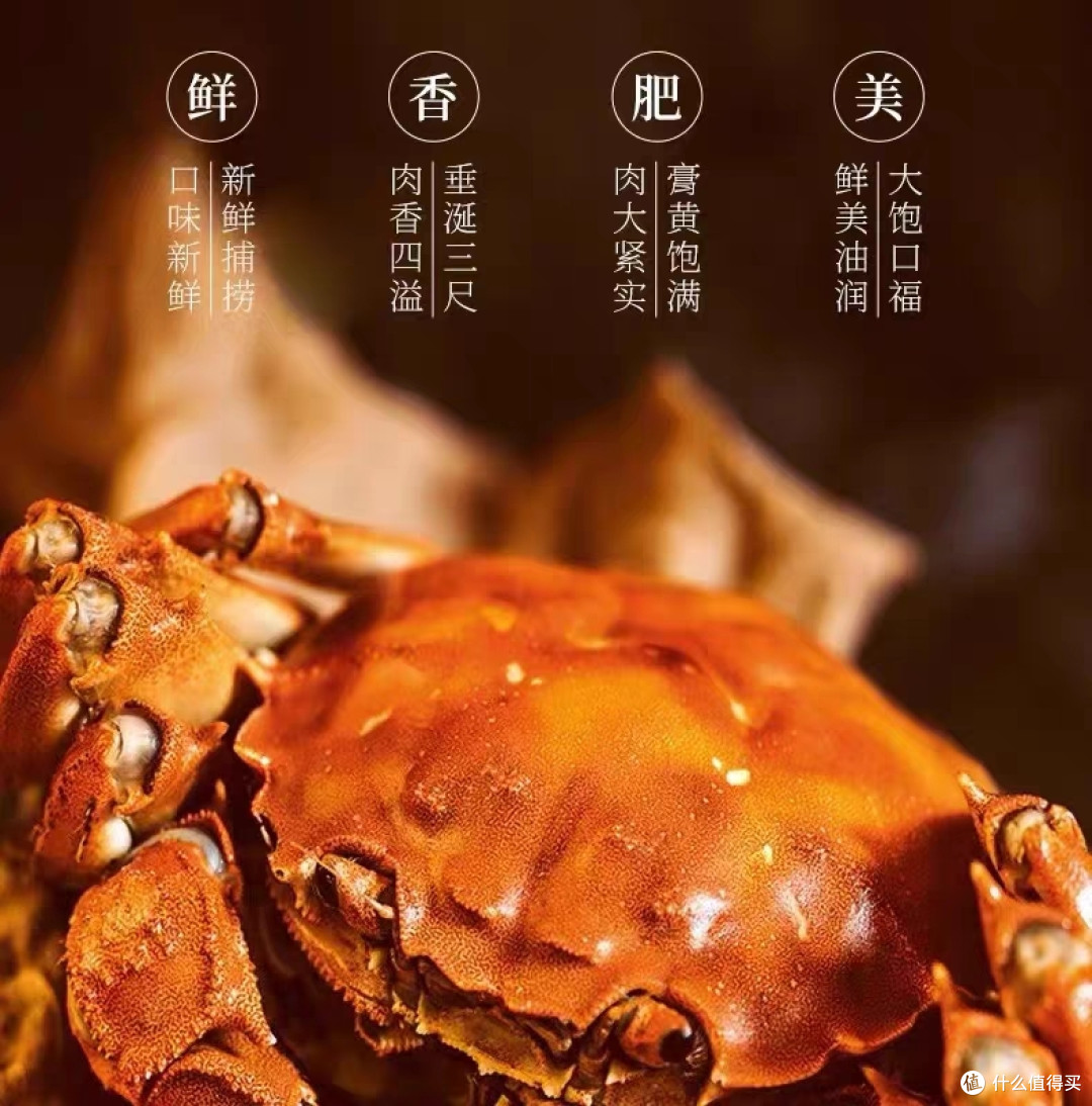 大闸蟹选购攻略分享来了