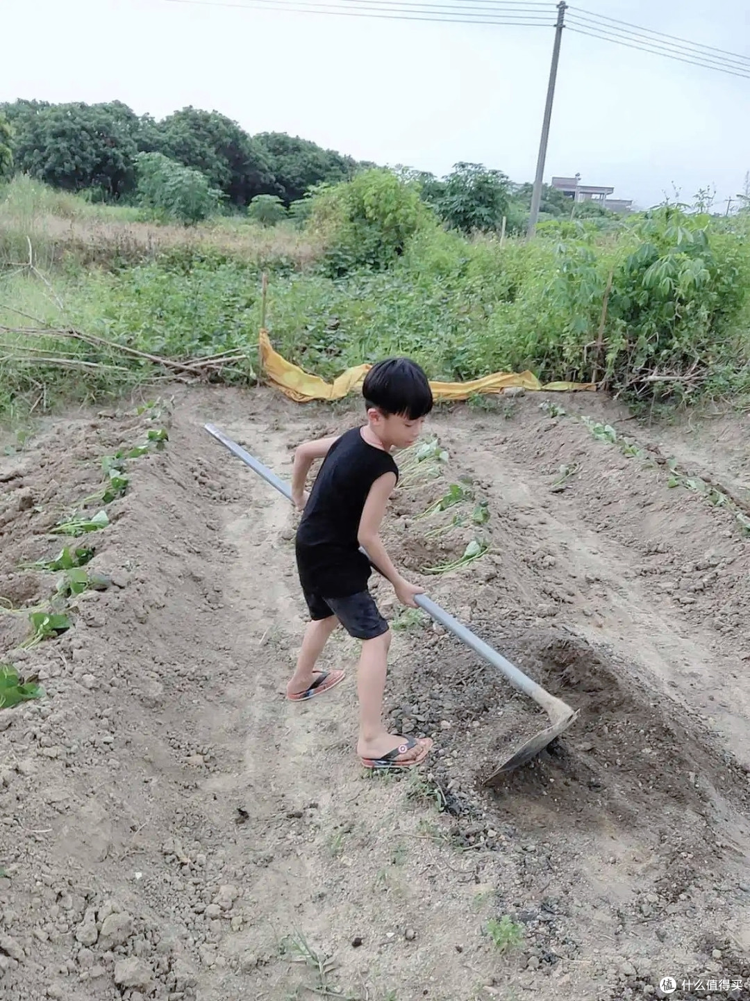 孩子厌学,家长认为,是欠揍吗?
