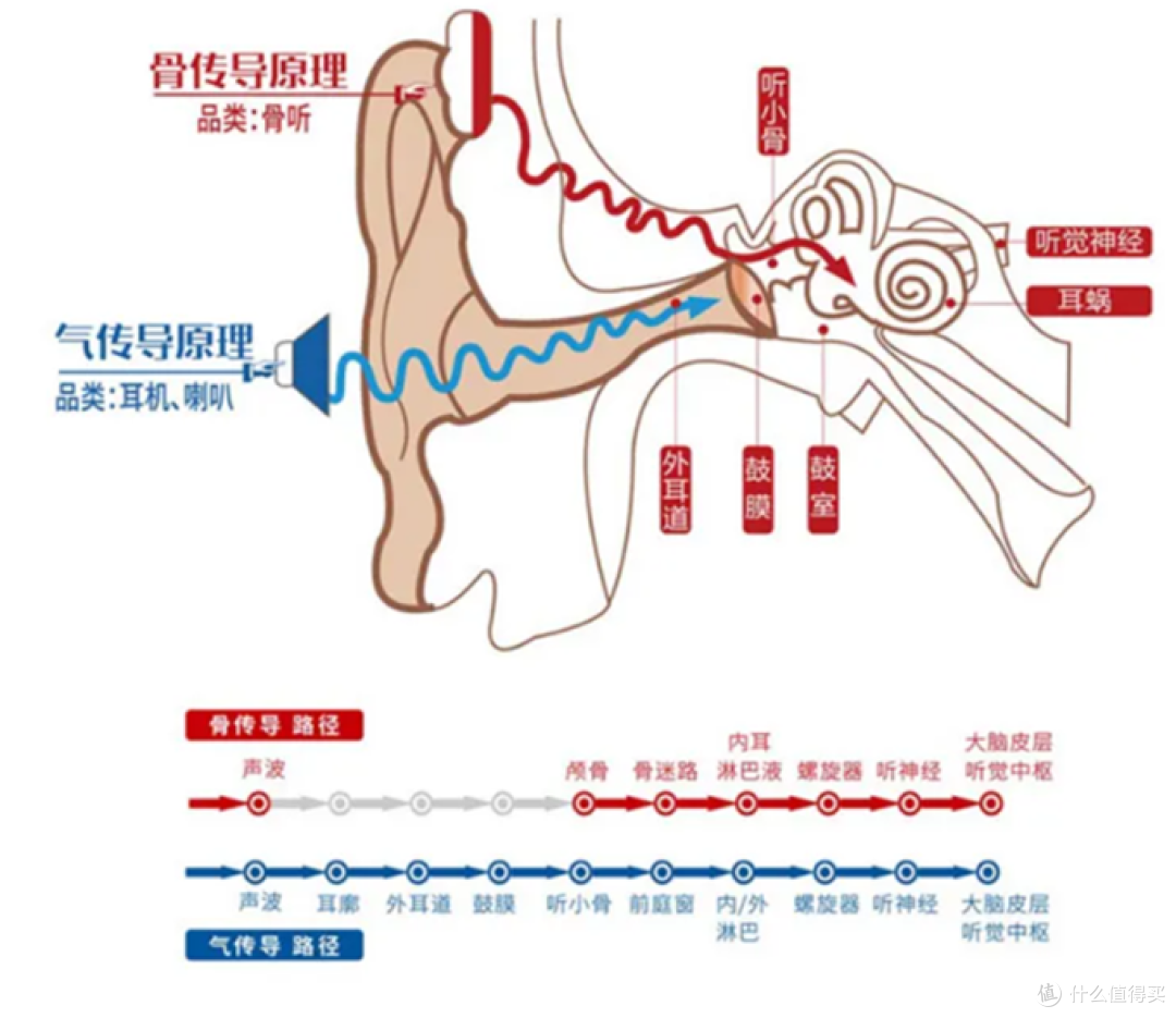 2023年高性价比骨传导耳机推荐|IPX8级防水，自带32M内存，百元级王者，戴灵S800入手测评