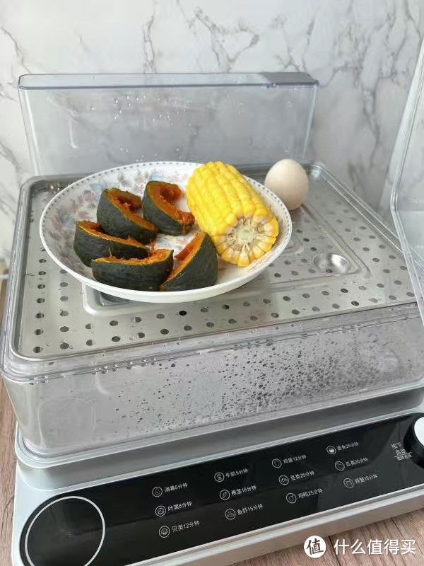 高端电蒸锅家用多功能双层全自动早餐机蒸煮炖锅