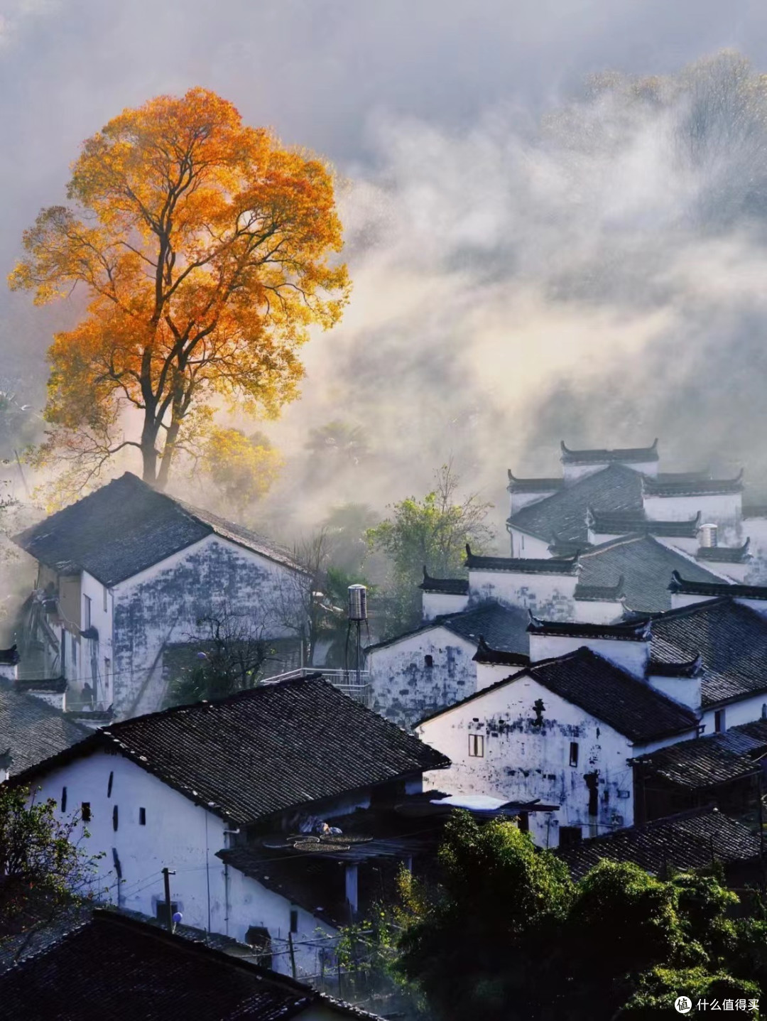 9月旅游免票景区汇总👇👇