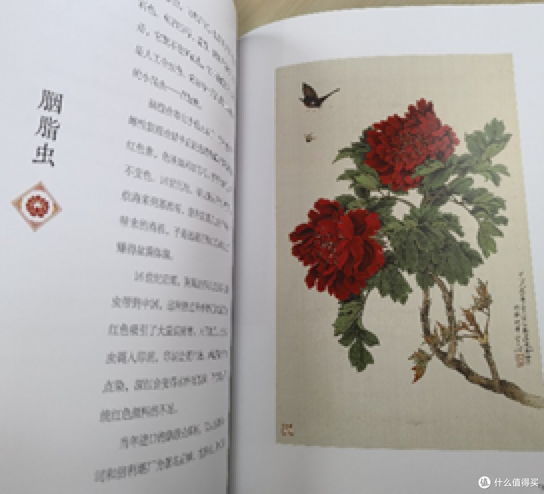 《中国传统色(青少版)》:浸润中华传统文化的美学读本