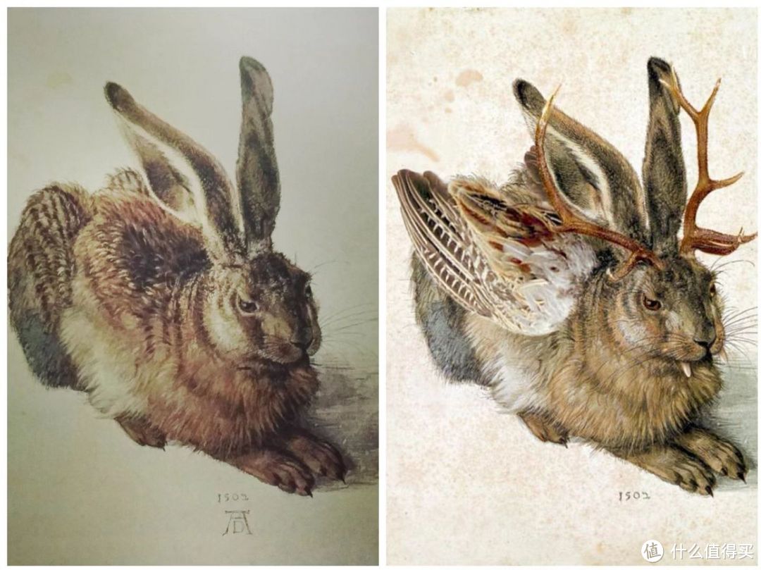 左：著名画家阿尔布雷希特·丢勒的《野兔》；右：后人附会的鹿角兔