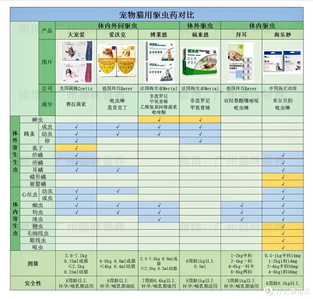 图片来自微博：广州猫咪领养