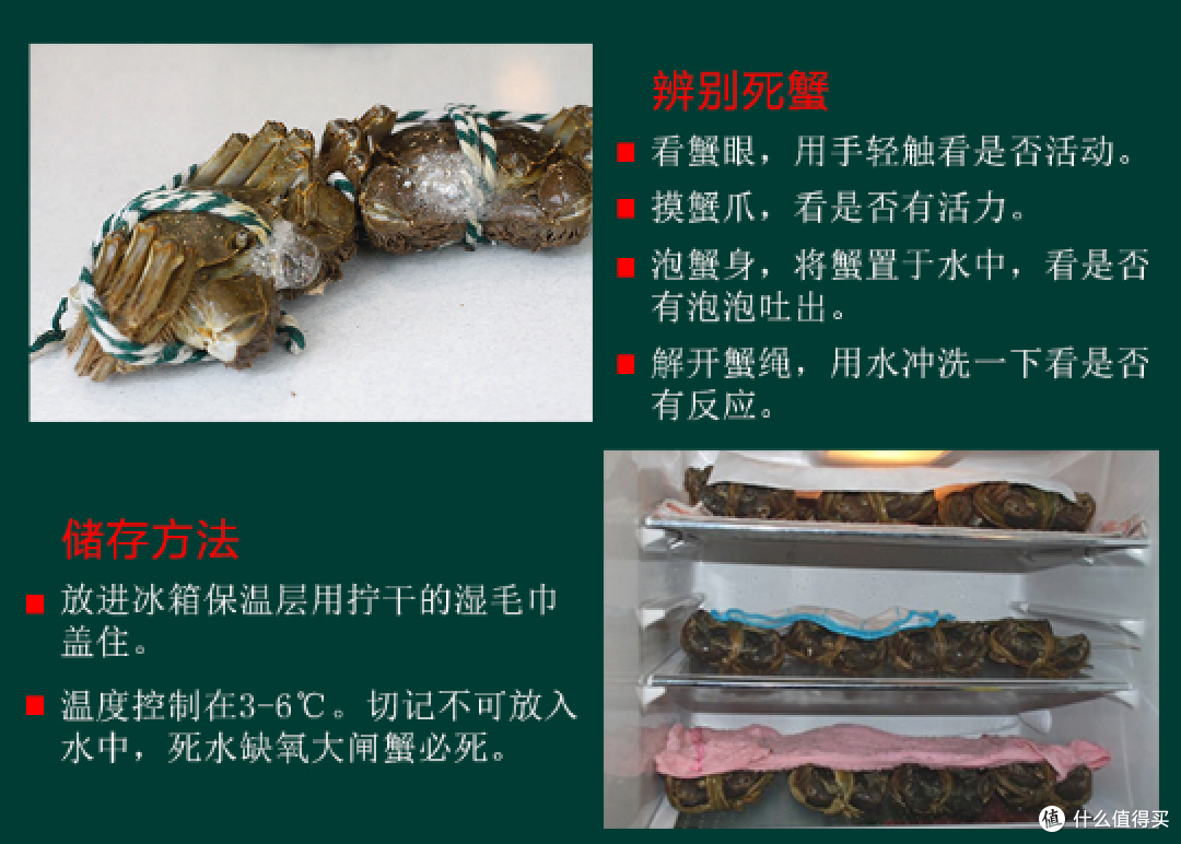 一起品味金秋九月的美味螃蟹