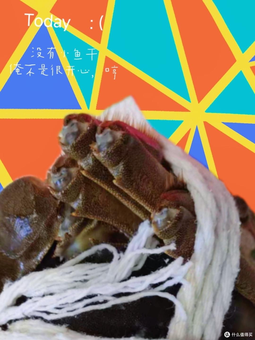 过中秋吃大闸蟹,买蟹卡还是实体大闸蟹呢?