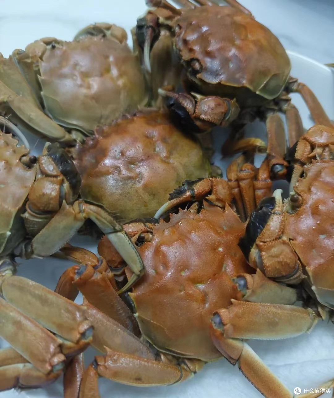 大闸蟹季来临,教你如何挑选最新鲜的食材