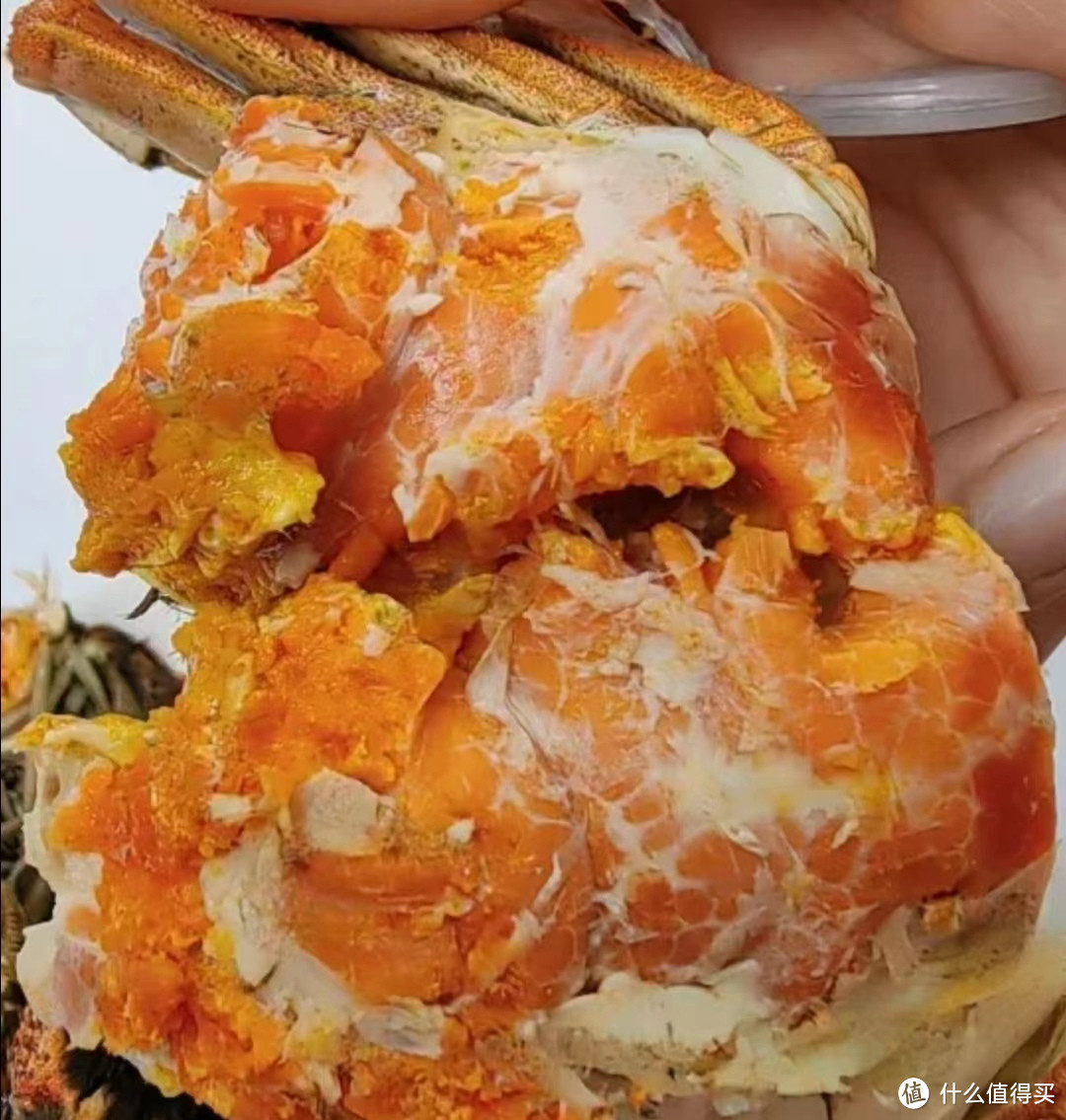 大闸蟹季来临，教你如何挑选最新鲜的食材