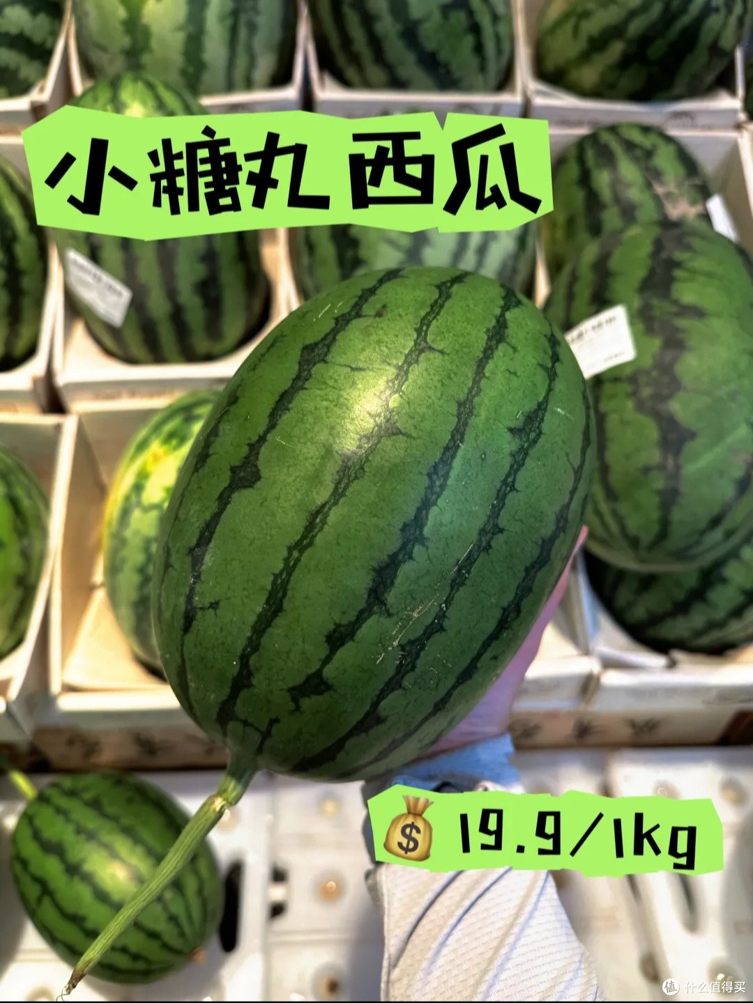 吃瓜群众:秋天里最后一波瓜你吃了吗?