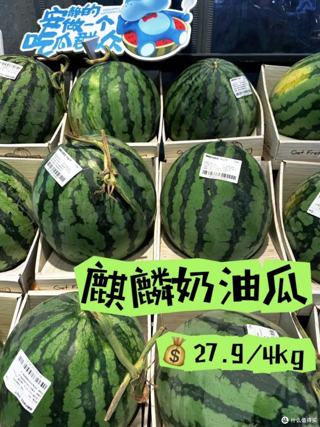 吃瓜群众:秋天里最后一波瓜你吃了吗?